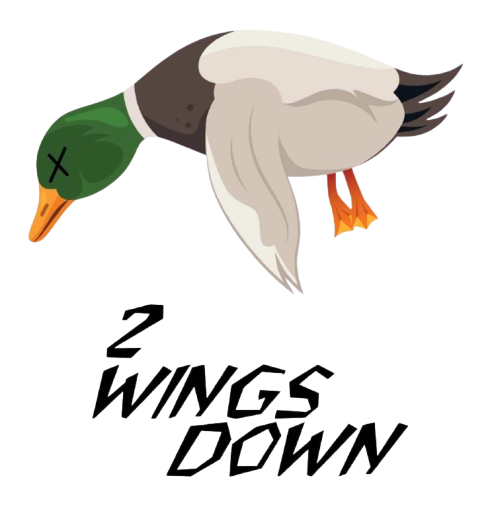 two wings vector